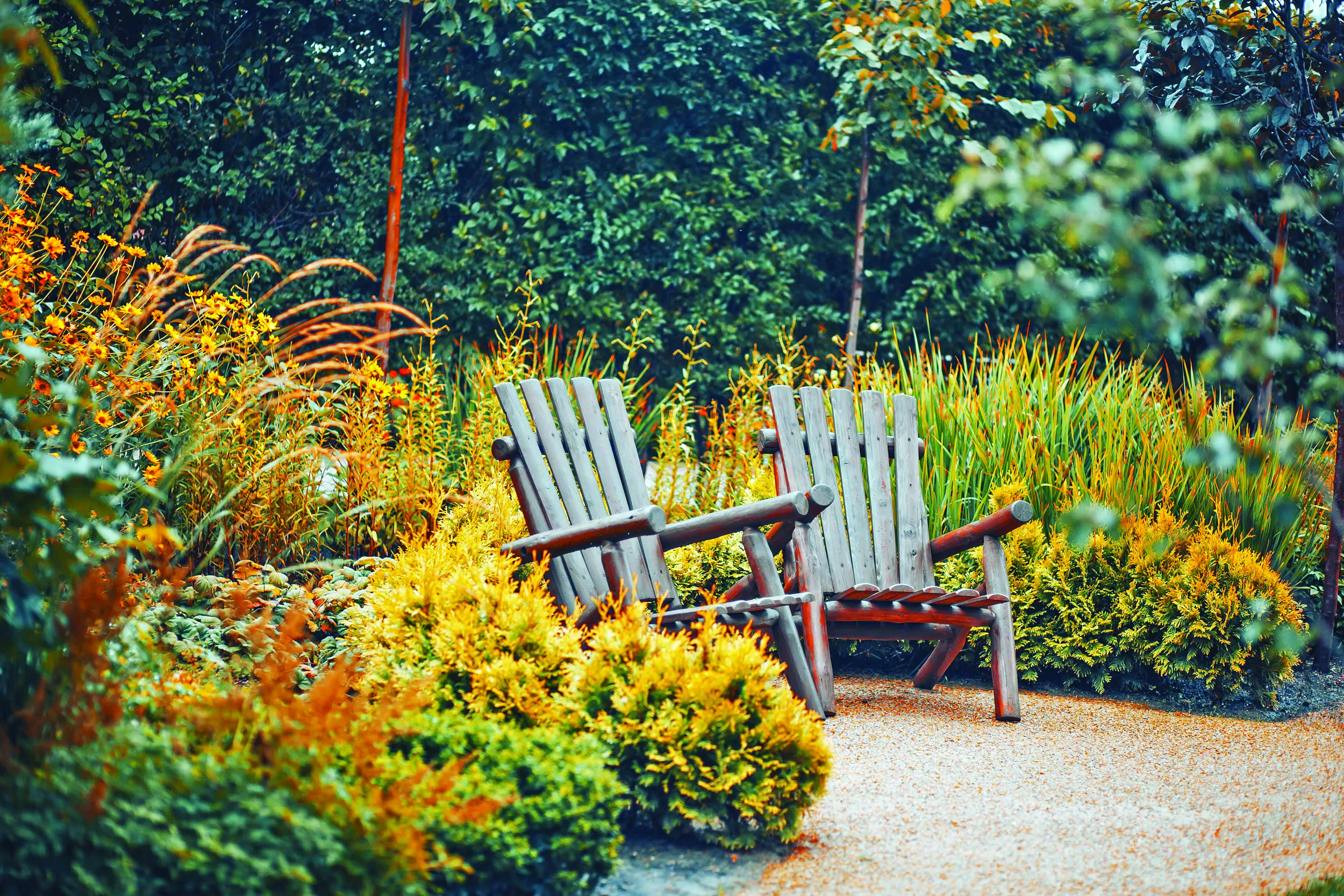 autumn colour with seat