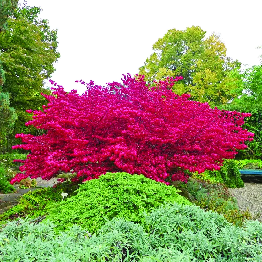 71r9ztm9dmL. UF10001000 QL80