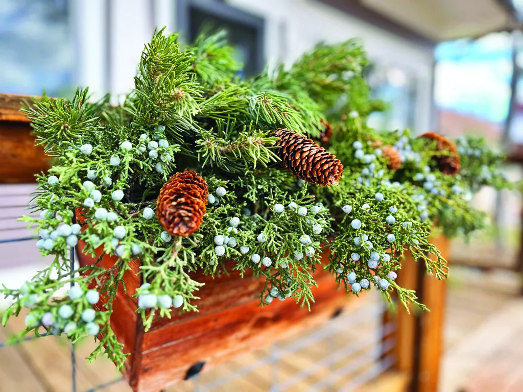 Christmas Window box scaled 1