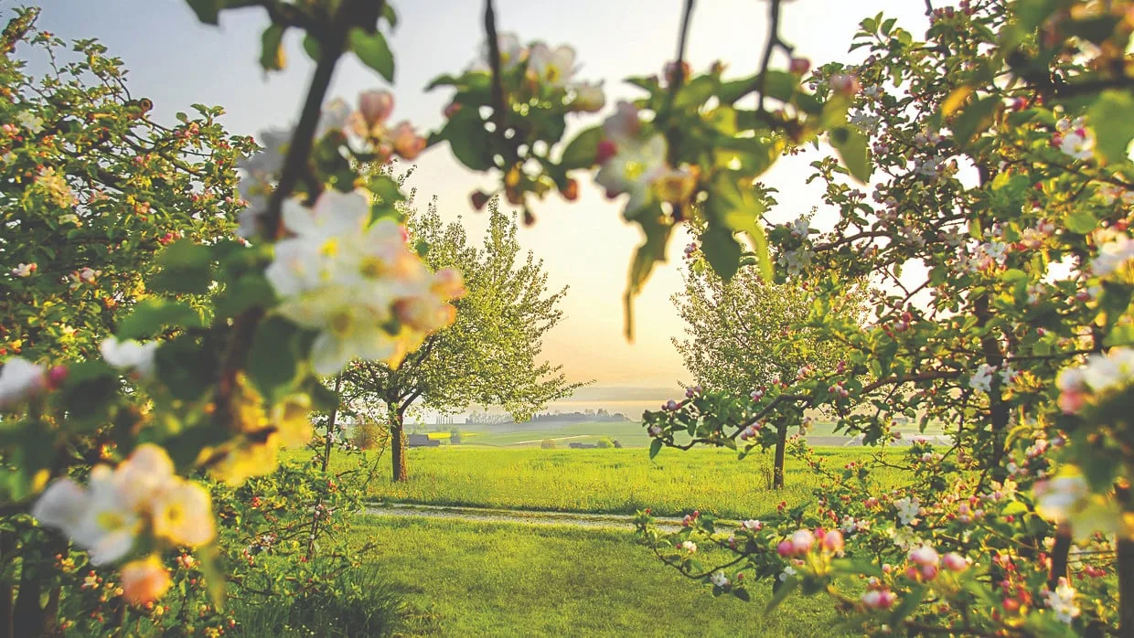 91112f52 3739 470c b3a4 3f78c637f388