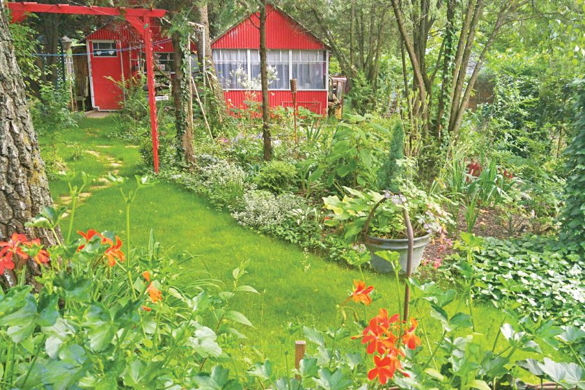 Lassan zöldül a gyep is