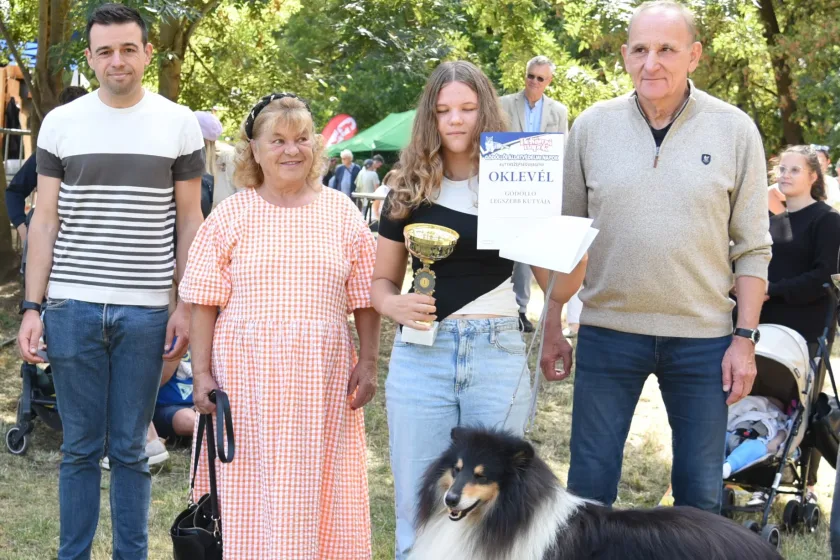Gödöllőlegszebb kutyája (1)(1)