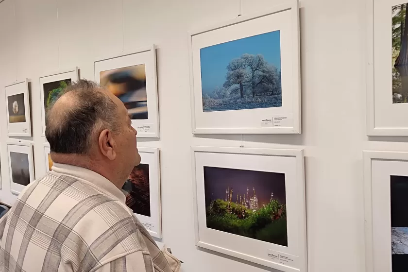 Díjazott pályaműveket állítottak ki