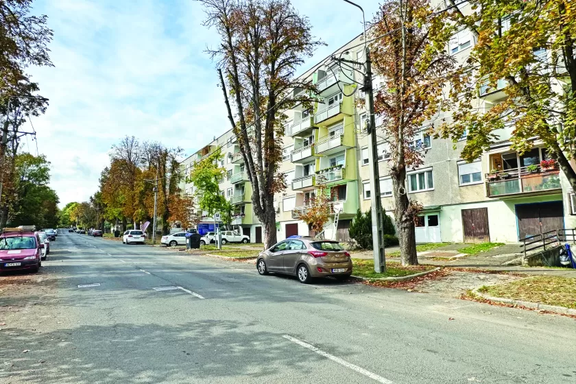 Jeney László: Bízom benne, hogy hosszú távon is megmaradhat ez a békés együttélés