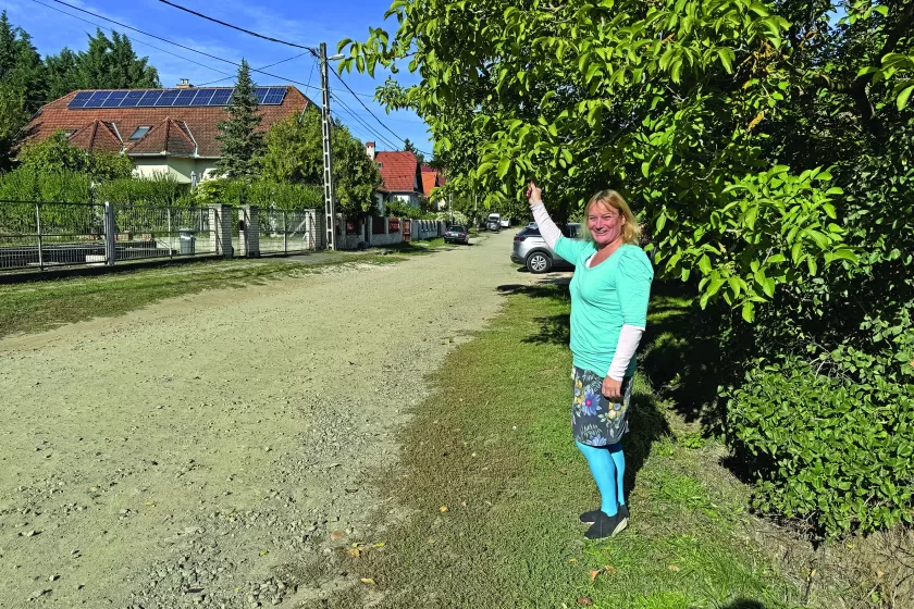 Szedmák Ágnes az aszfaltra váró utcában