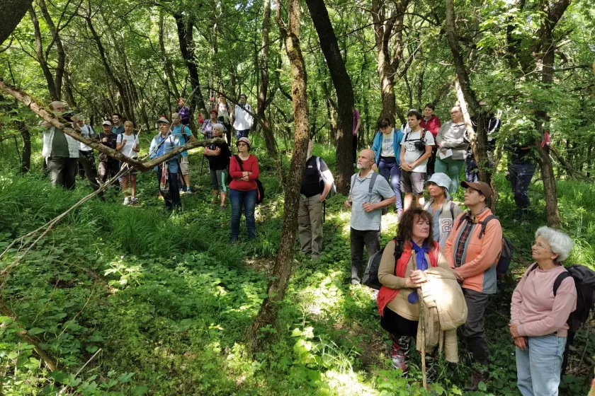 Megépült  az első Csörsz-árok tanösvény, amelynek 12 kilométer a teljes köre
